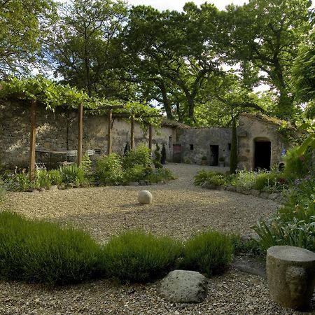Casa Di Pietro In Vivo D'Orcia, Pool Villa Kültér fotó